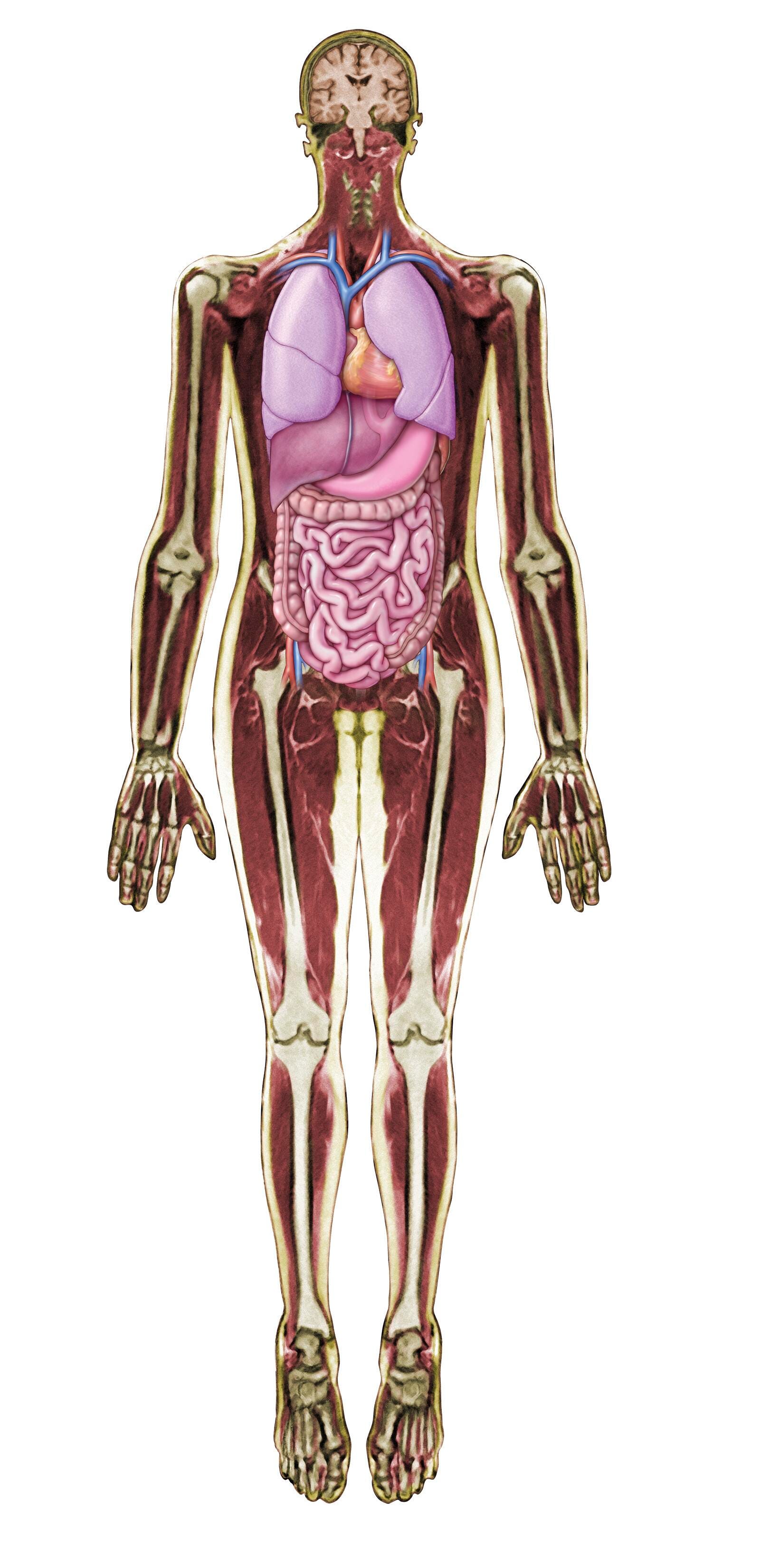 Lighting, Optics, Optical Components Supplies, Item Number 1489771